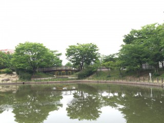 樋之池