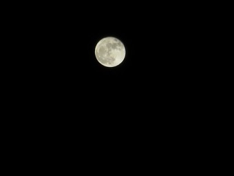 img_2326