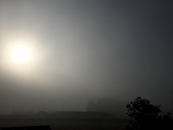img_7564